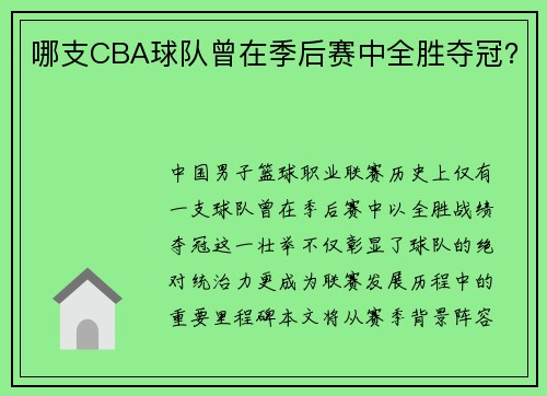 哪支CBA球队曾在季后赛中全胜夺冠？
